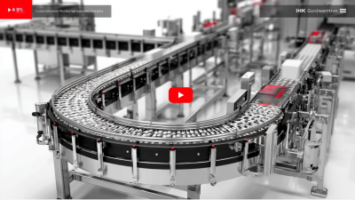 Understanding Global Production Standards: How to Select the Best Flexible Chain Conveyor for Your Needs